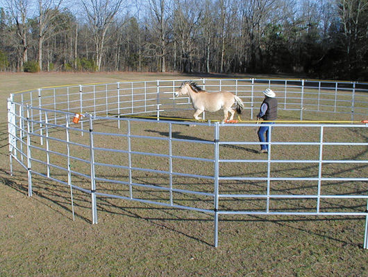 Tấm hàng rào gia súc 1,6m mạ kẽm nhúng nóng có chốt / vấu phụ kiện