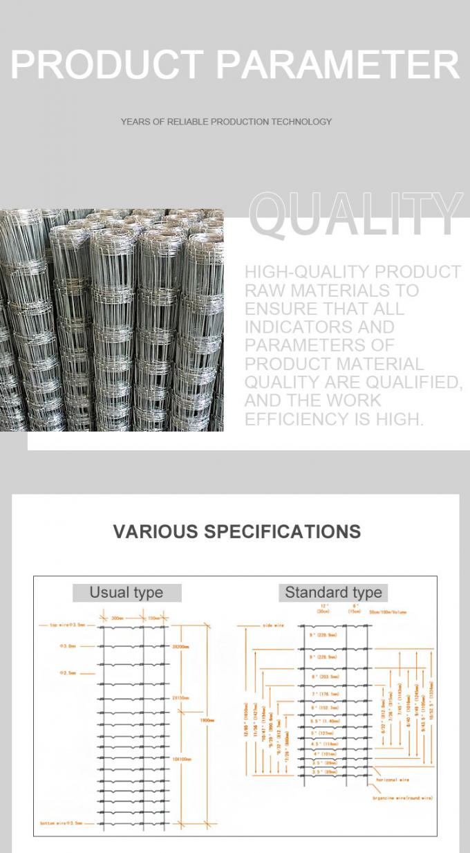 tin tức mới nhất của công ty về Hàng rào giá rẻ Gia súc mạ kẽm nhúng nóng để bán Hàng rào trang trại, lưới thép và cổng kim loại thép Không hỗ trợ 2.0-2.8mm  0