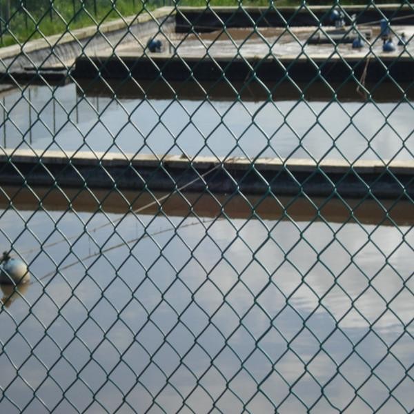 tin tức mới nhất của công ty về Hàng rào liên kết chuỗi bảo mật lưới  0