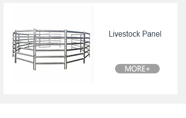 Công việc nặng thép galvanized rào chắn Concert Bảo trì thấp 18