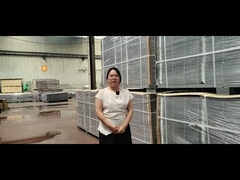 Bao bì hàng rào 3D mạ kẽm