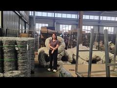 Bao bì dây thép gai trên hàng rào chống leo núi