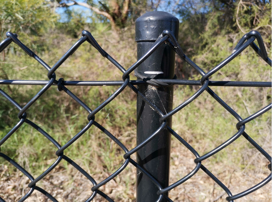 Dây 3 mm 60 * 60mm Opeing Twist Edge Hàng rào liên kết chuỗi bọc PVC cho trang trại