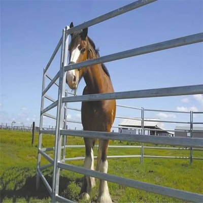 2023 Bán chạy nhất Hoa Kỳ 12 ft Gia súc hạng nặng Gia súc Hàng rào quây và Tấm bảng bút tròn cho ngựa