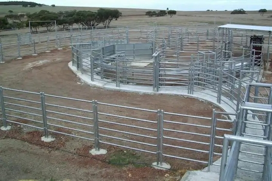 Tấm hàng rào gia súc mạ kẽm 1,7m bằng thép carbon số lượng lớn, tấm dê di động