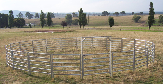 Tấm hàng rào gia súc mạ kẽm 1,7m bằng thép carbon số lượng lớn, tấm dê di động