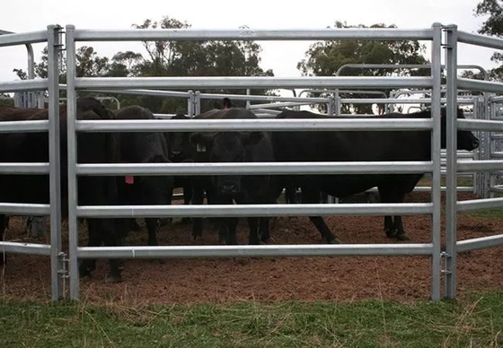 Tấm hàng rào thép chăn nuôi trang trại di động Úc mạ kẽm cho gia súc