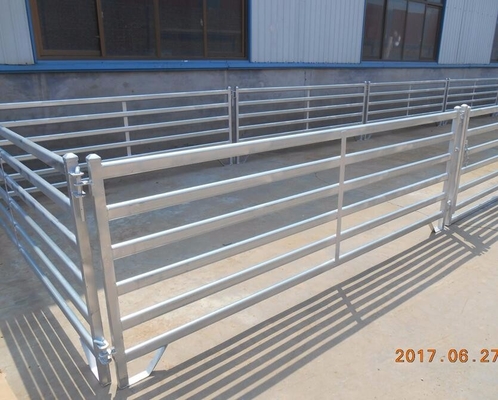 Tấm sân gia súc được mạ kẽm nhúng nóng cho cừu và dê