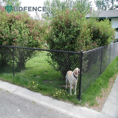 Thé đấu tennis Đường sân tennis Đường dây chuyền dây chuyền dây chuyền Cyclone Wire Diamond Mesh Đen PVC phủ 6ft 8ft Mesh mở 50 * 50mm