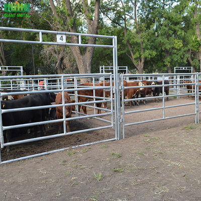 Tấm hàng rào động vật ống hình bầu dục mạ kẽm cho gia súc