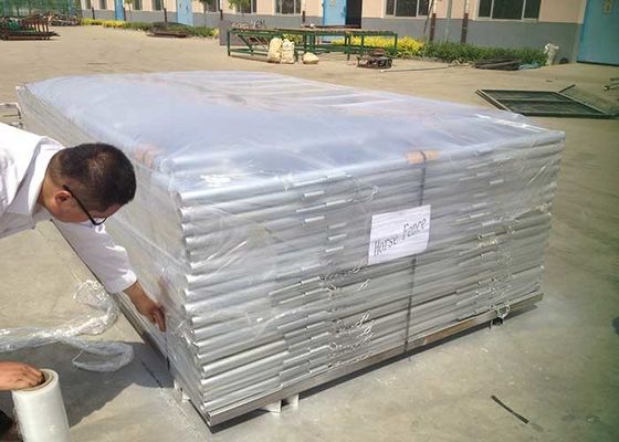 60x60mm Rails Lugs And Pin Model Ống vuông Chiều cao 60ft Bảng điều khiển gia súc cho ngựa