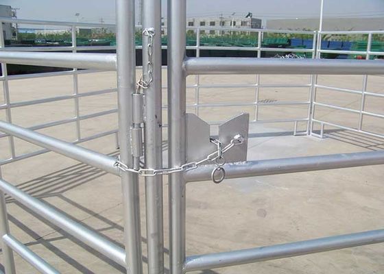 60x60mm Rails Lugs And Pin Model Ống vuông Chiều cao 60ft Bảng điều khiển gia súc cho ngựa