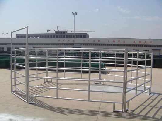 Ống vuông H1800mm Hàng rào cổng gia súc hàn