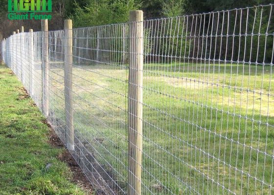HGMT Dây thép lưới HGMT Tấm hàng rào cố định nút gia súc