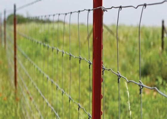Độ bền kéo cao Tấm hàng rào bằng thép dành cho chăn nuôi gia súc