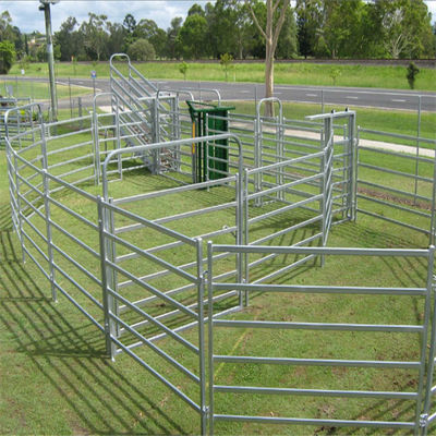 60x60mm Rails Lugs And Pin Model Ống vuông Chiều cao 60ft Bảng điều khiển gia súc cho ngựa