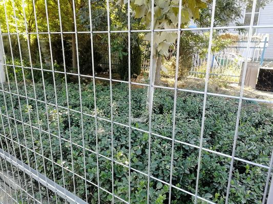 Tiêu chuẩn thị trường Mỹ 6 x 12 ft Đĩa hàng rào dây chuyền tạm thời cho công trình xây dựng
