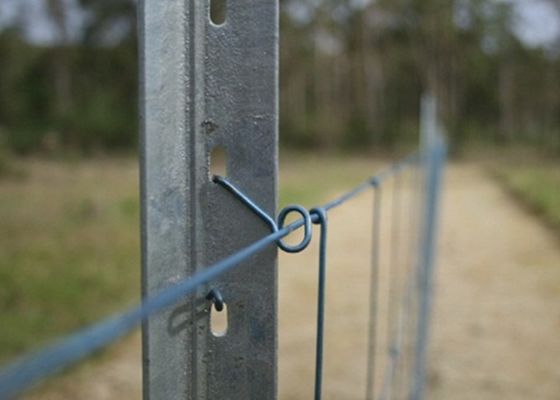 1500mm thép Y Cột galvanized cho hàng rào vườn