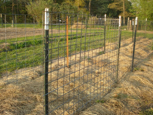 Hàng rào trang trại mạ kẽm 6 feet Studded T Post sử dụng