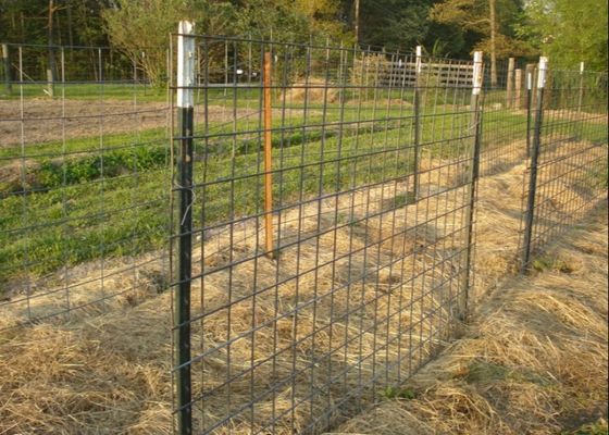 Hàng rào trang trại 8ft 1,25lb Thép Studded T Post Green Coated