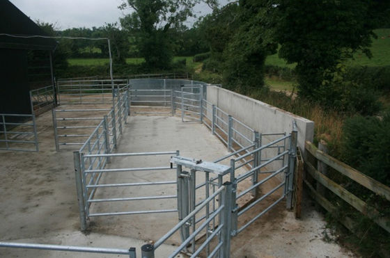 Tấm hàng rào gia súc có chiều dài ISO 2.1m cho trang trại chăn nuôi