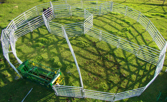 Tấm hàng rào gia súc có chiều dài ISO 2.1m cho trang trại chăn nuôi