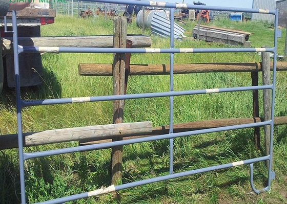 Khu vườn tạm thời 1.6m Tấm rào chắn bằng sắt Chăn nuôi gia súc Sắt