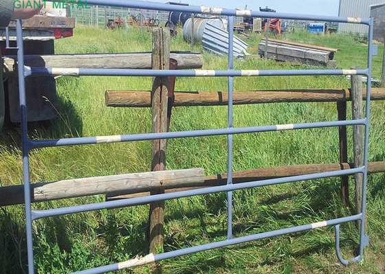 Hàng rào chăn nuôi hạng nặng Chiều cao 1,6m Cổng trang trại bằng kim loại mạ kẽm