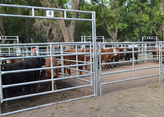 Hàng rào chăn nuôi hạng nặng Chiều cao 1,6m Cổng trang trại bằng kim loại mạ kẽm